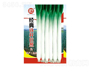 [N-(jng)FU[-Sr(nng)I(y)