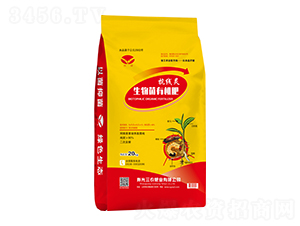 ЙC(j)-`-r(nng)ʘI(y)