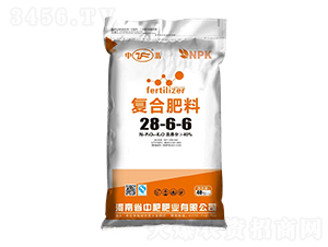 (f)Ϸ28-6-6--зʷʘI(y)