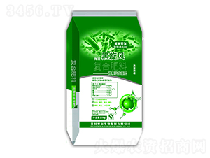 (f)Ϸ-L(fng)-Ӣ(gu)ؐ-еr(nng)