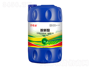 1.6%rˮ-fډ-r(nng)_(d)